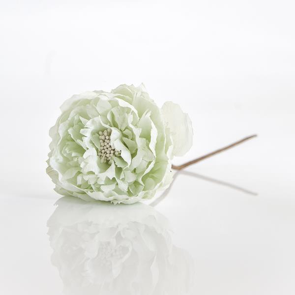 ΤΡΙΑΝΤΑΦΥΛΛΟ ΜΕΝΤΑ, 10x20cm