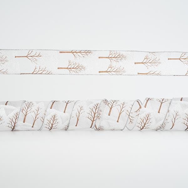 ΚΟΡΔΕΛΑ ΔΙΑΦΑΝΗ, ΜΕ ΔΕΝΤΡΑ, 6,35cm, 10Y