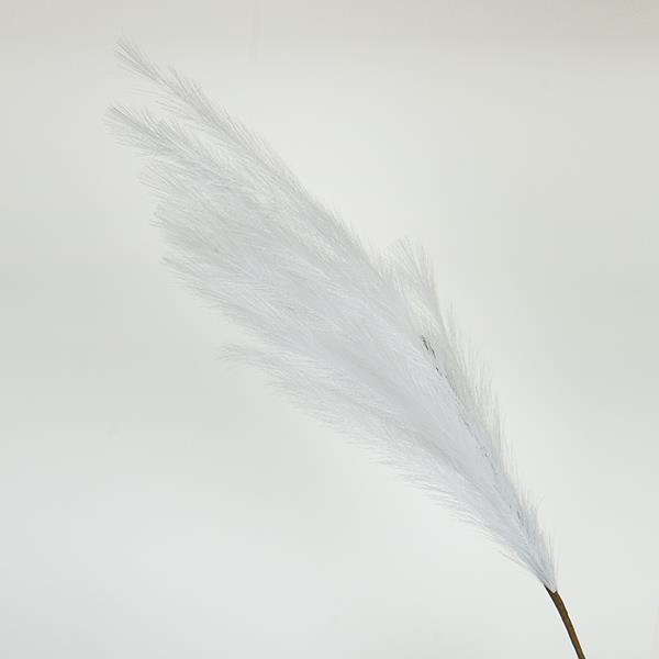 ΚΛΑΔΙ ΠΑΜΠΑΣ ΛΕΥΚΟ 112cm