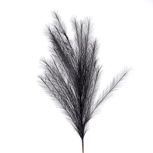 ΠΑΜΠΑΣ/ ΚΛΑΔΙ ΜΑΥΡΟ 112cm
