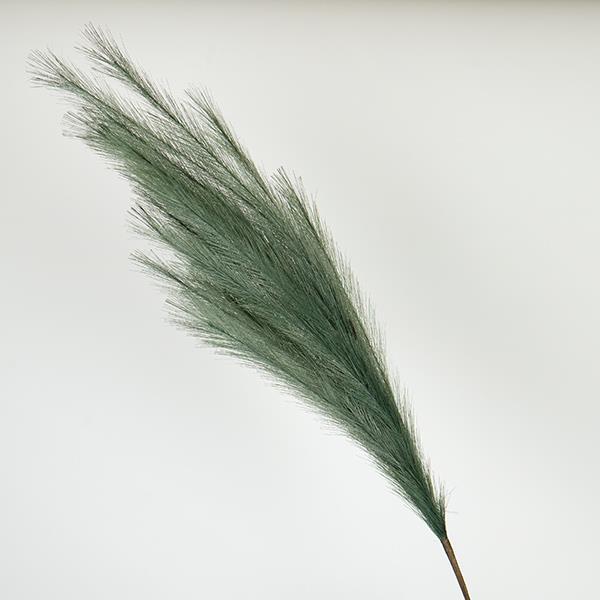 ΚΛΑΔΙ ΠΑΜΠΑΣ ΠΡΑΣΙΝΟ 112cm