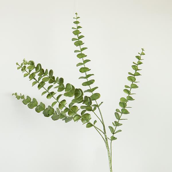 ΚΛΑΔΙ/ ΦΥΤΟ ΕΥΚΑΛΥΠΤΟΣ 84cm