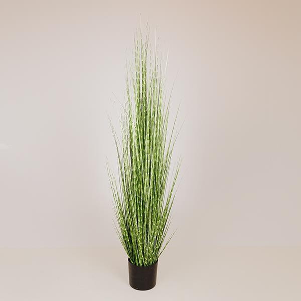 ΦΥΤΟ ΓΡΑΣΙΔΙ ΣΕ ΓΛΑΣΤΡΑ ΠΛΑΣΤΙΚΟ ΠΡΑΣΙΝΟ 153cm