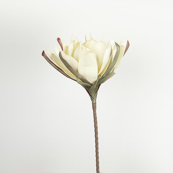 ΛΟΥΛΟΥΔΙ/ΚΛΑΔΙ FOAM ΚΡΕΜ 90cm